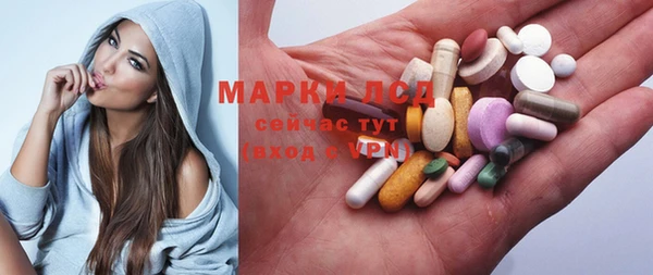 прущие грибы Краснотурьинск