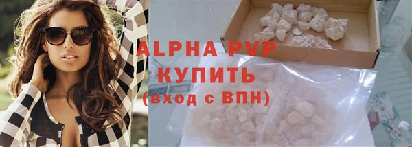 прущие грибы Краснотурьинск