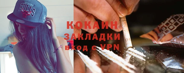 прущие грибы Краснотурьинск
