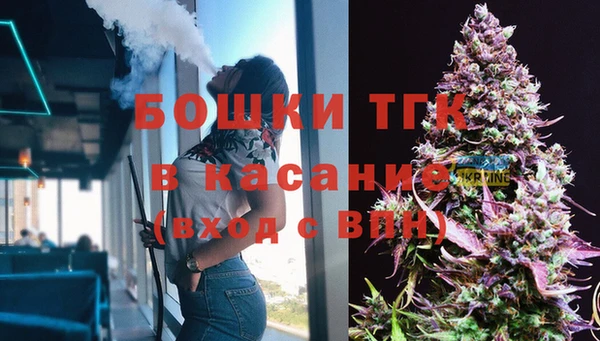 прущие грибы Красноперекопск