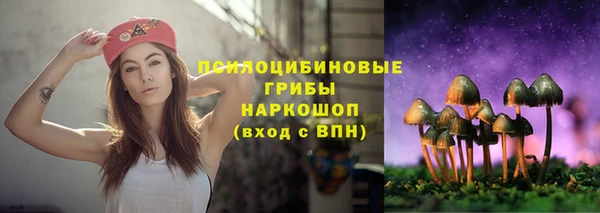 прущие грибы Красноперекопск