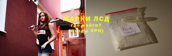 прущие грибы Красноперекопск