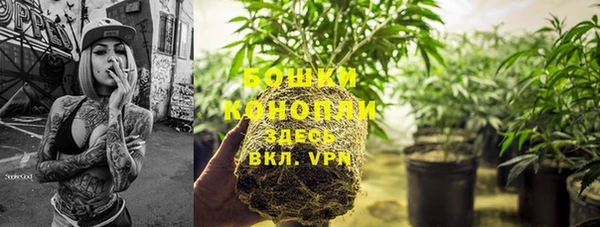 соль ск Кулебаки