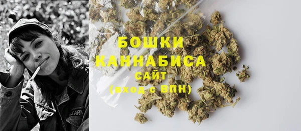 прущие грибы Краснотурьинск