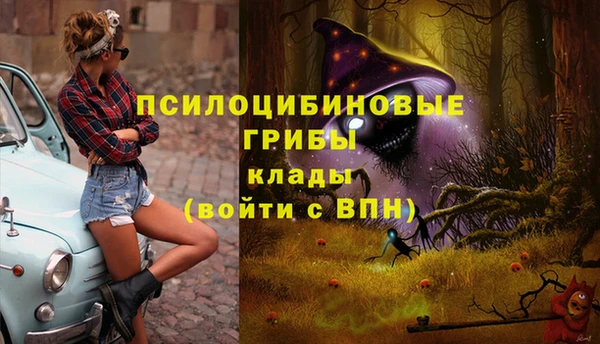 прущие грибы Краснотурьинск