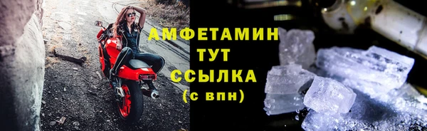 прущие грибы Краснотурьинск
