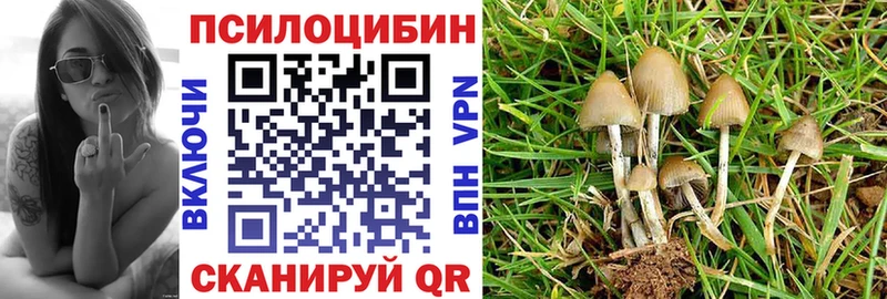 Купить где  Буйнакск  Псилоцибиновые грибы Cubensis 